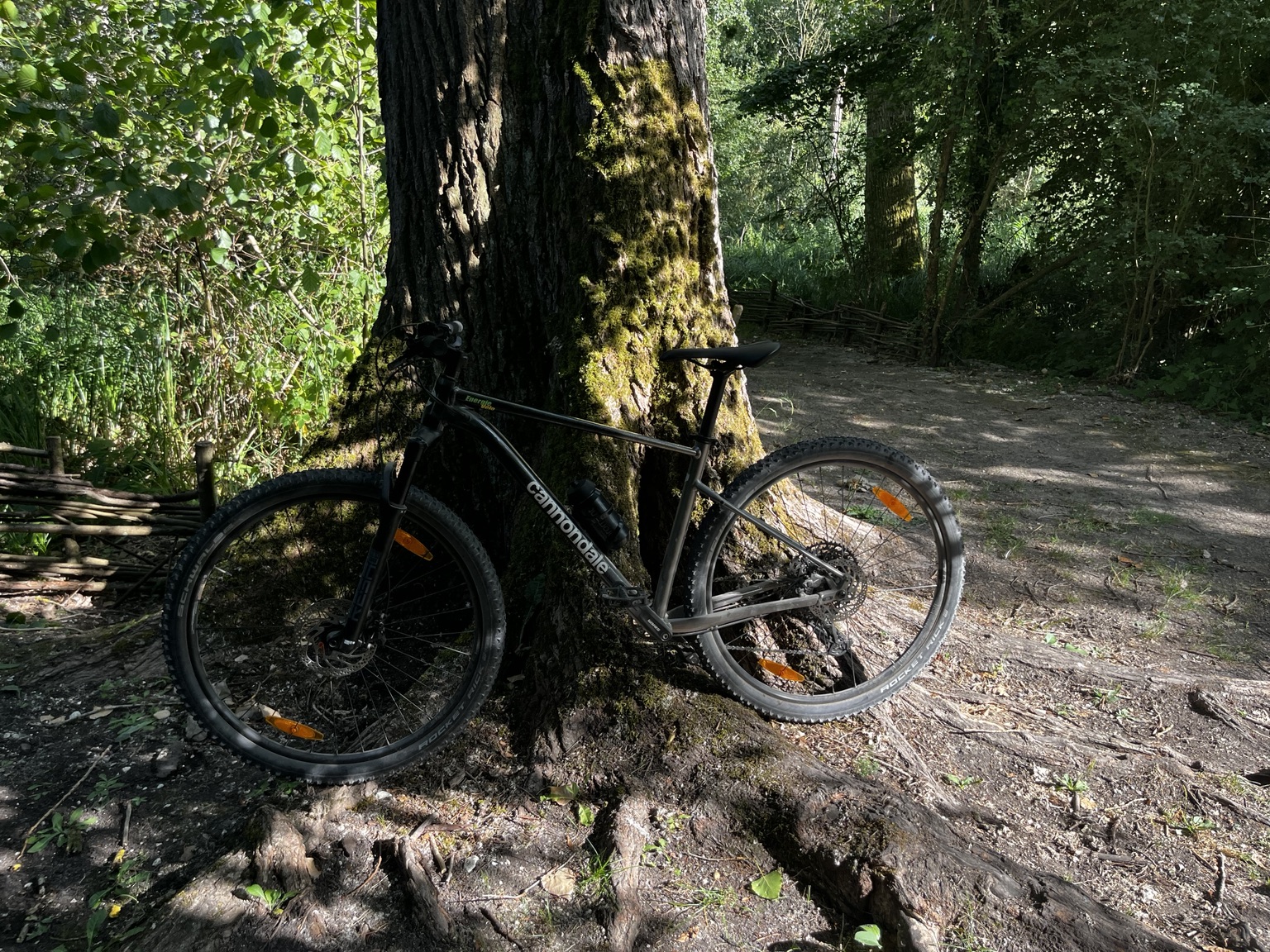 Cannondale Trail posé dans un sous-bois